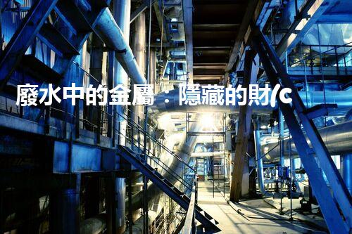 廢水中的金屬：隱藏的財(cái)富還是潛在威脅？